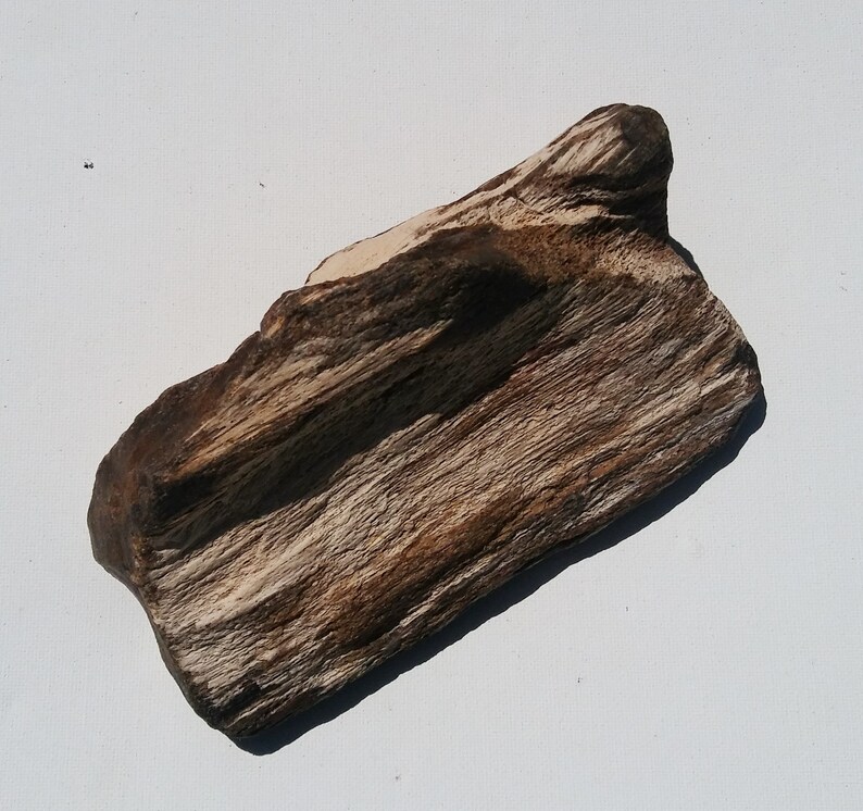 Petrified Wood Aquarium Decor Fish Tank Aquascape Shrimp Etsy