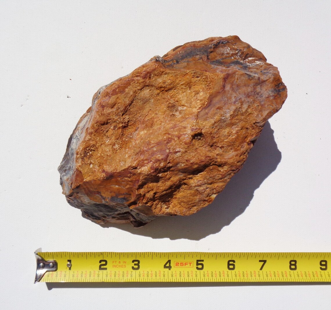 Petrified Wood Aquarium Decor Fish Tank Aquascape Shrimp Etsy