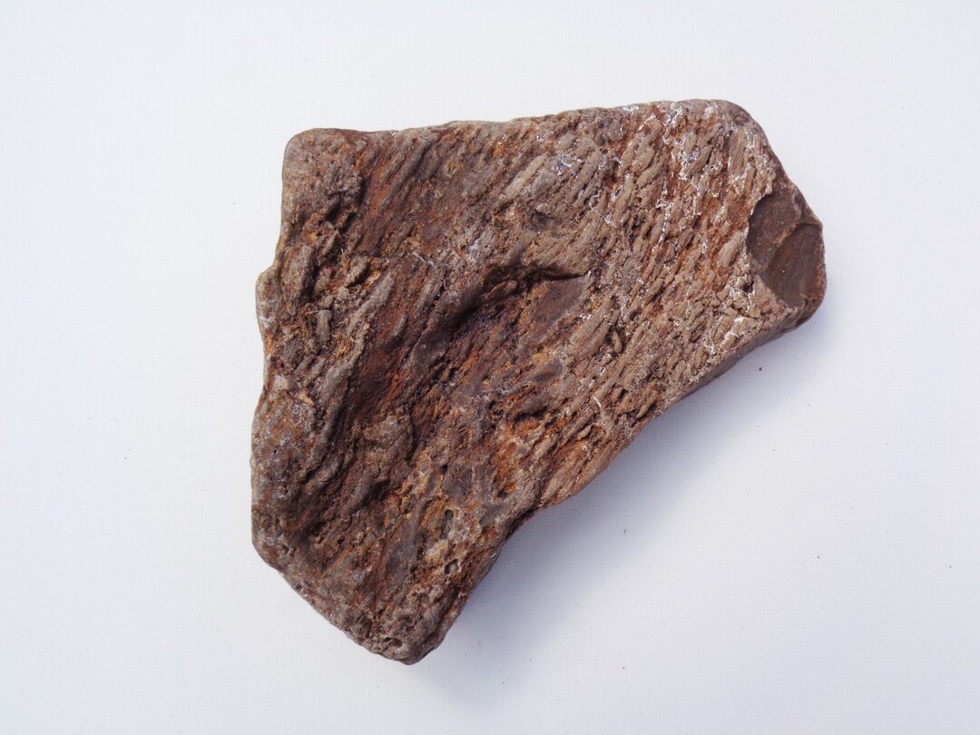 Petrified Wood Aquarium Decor Fish Tank Aquascape Shrimp Etsy