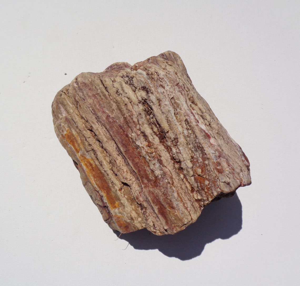 Petrified Wood Aquarium Decor Fish Tank Aquascape Shrimp Etsy