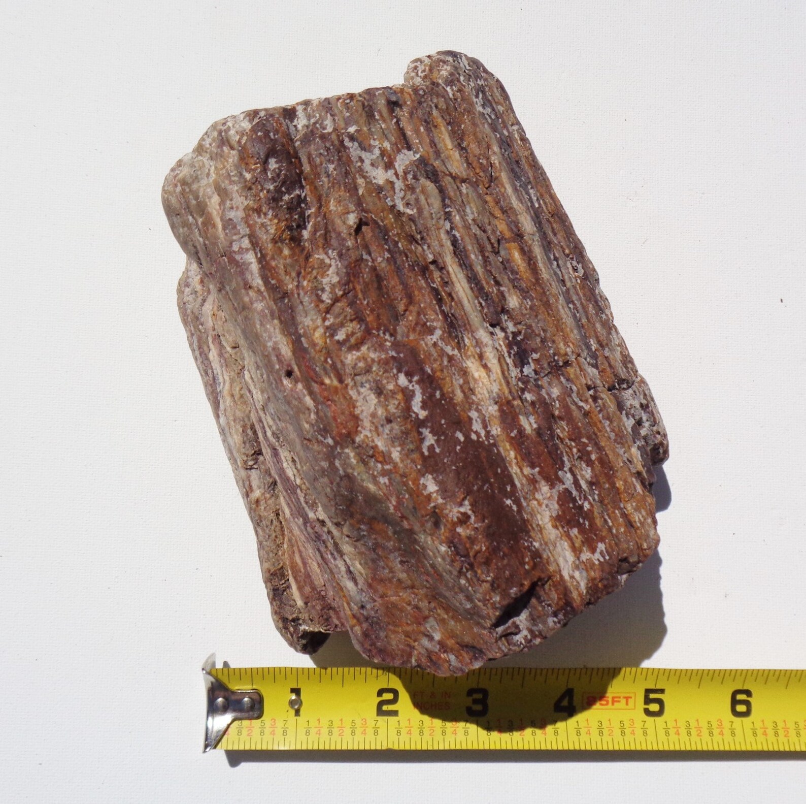 Petrified Wood Aquarium Decor Fish Tank Aquascape Shrimp Etsy