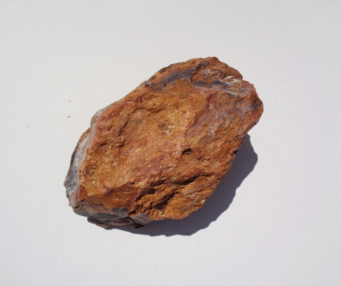 Petrified Wood Aquarium Decor Fish Tank Aquascape Shrimp Etsy