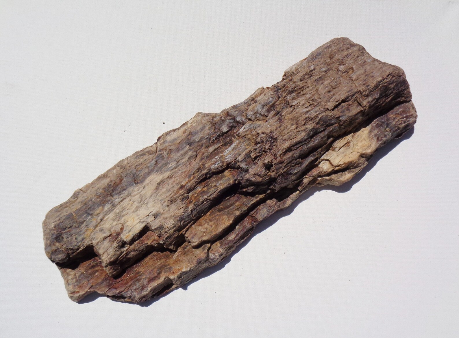 Petrified Wood Aquarium Decor Fish Tank Aquascape Shrimp Etsy