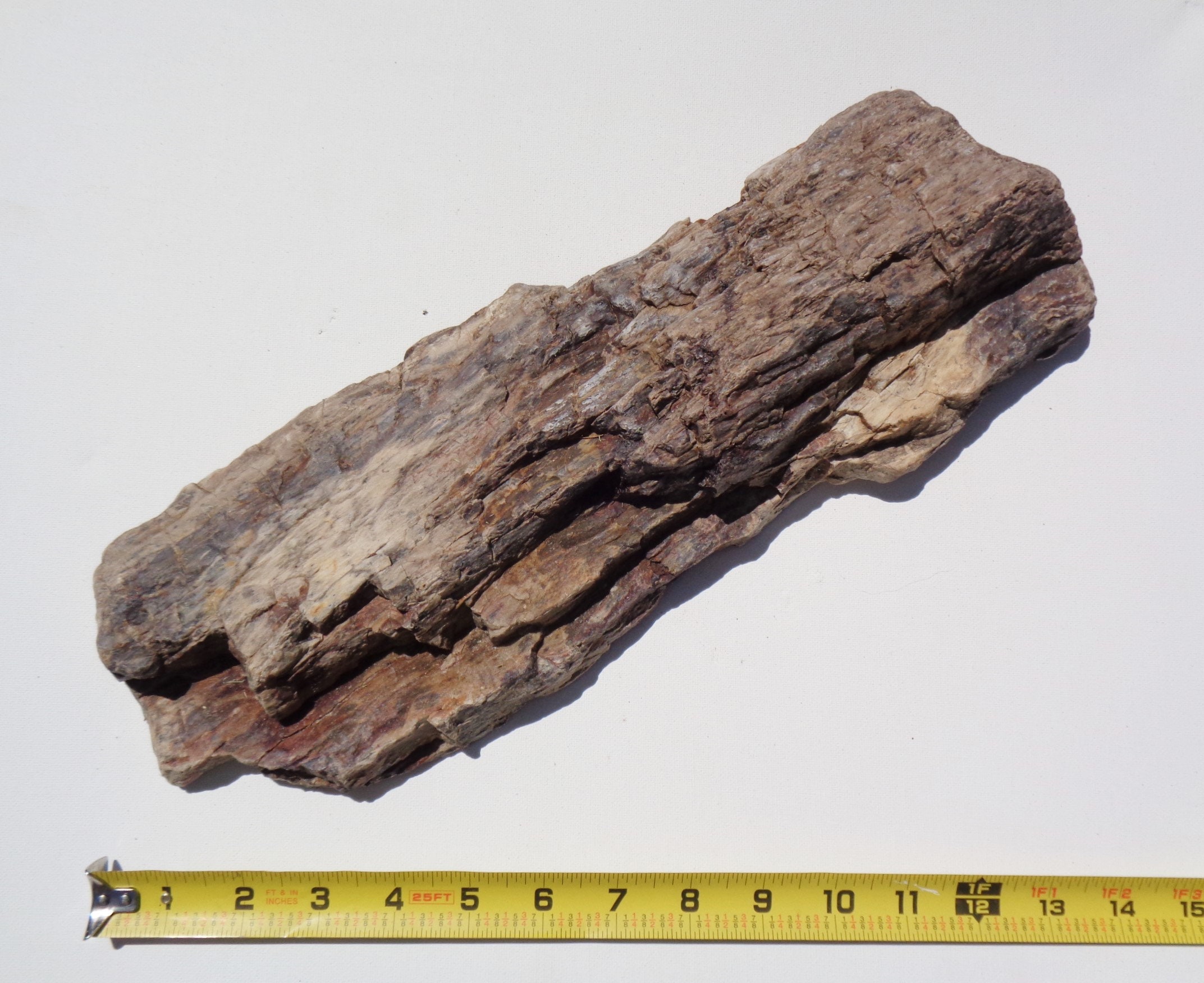 Petrified Wood Aquarium Decor Fish Tank Aquascape Shrimp Etsy