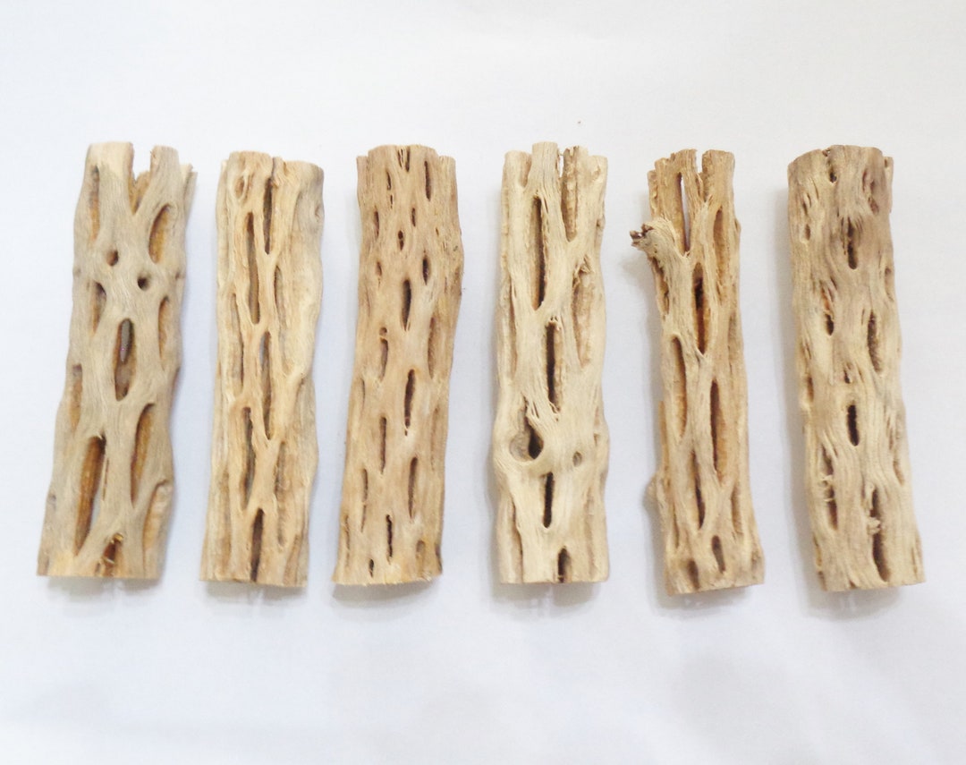 Cholla Wood, 4in, Driftwood, Aquarium Decor,aquascape, Fish Tank