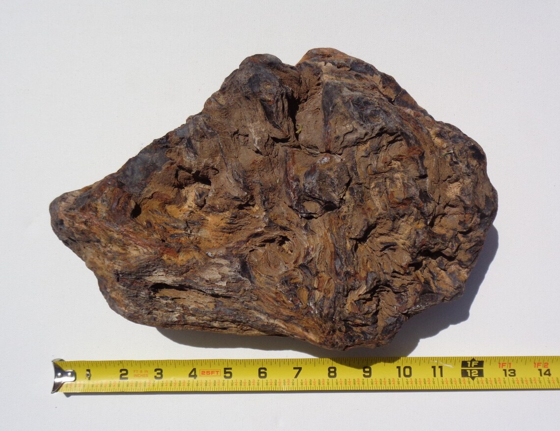 Petrified Wood Aquarium Decor Fish Tank Aquascape Shrimp Etsy