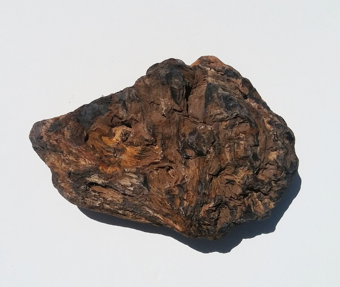 Petrified Wood Aquarium Decor Fish Tank Aquascape Shrimp Etsy