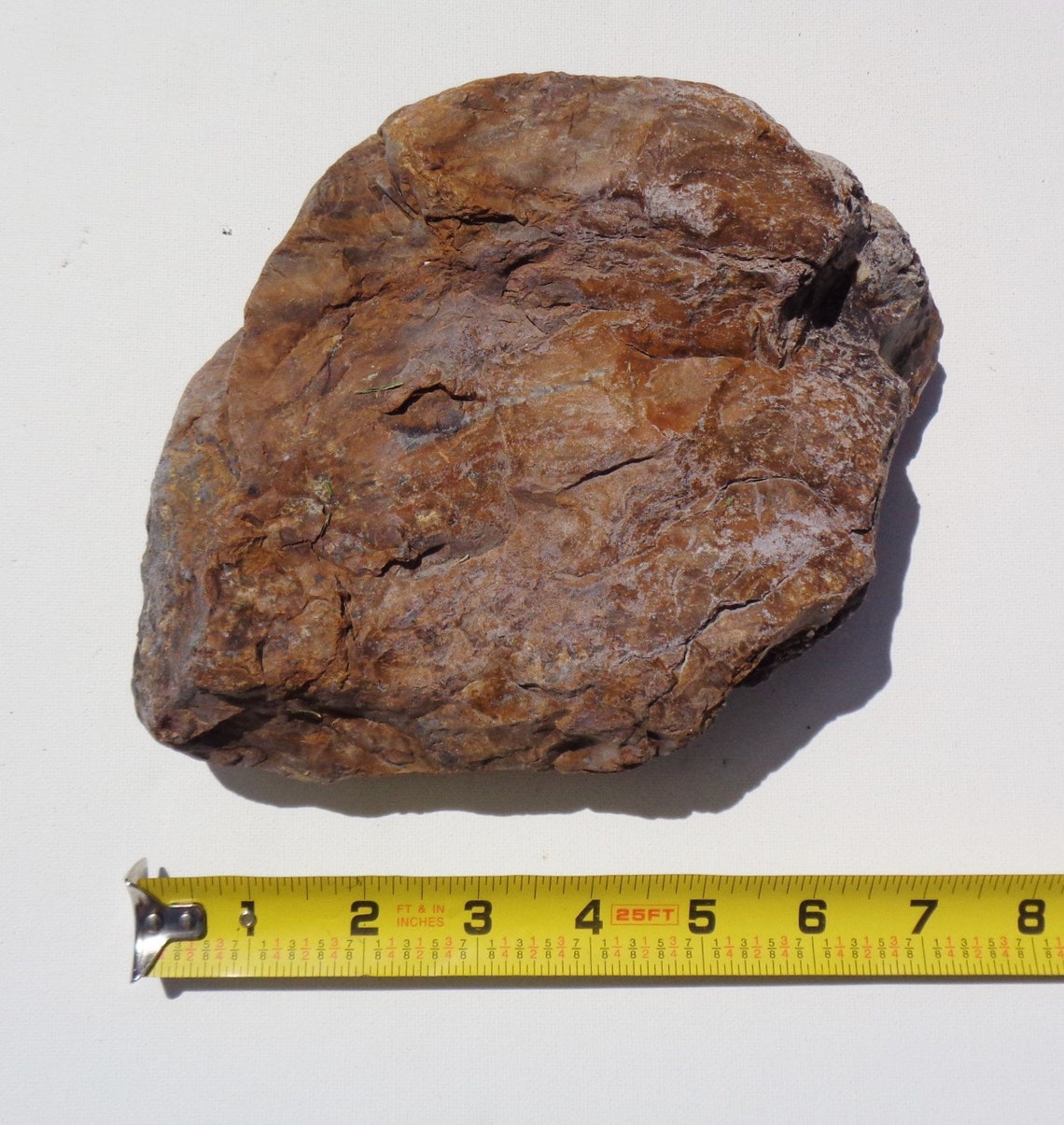 Petrified Wood Aquarium Decor Fish Tank Aquascape Shrimp Etsy