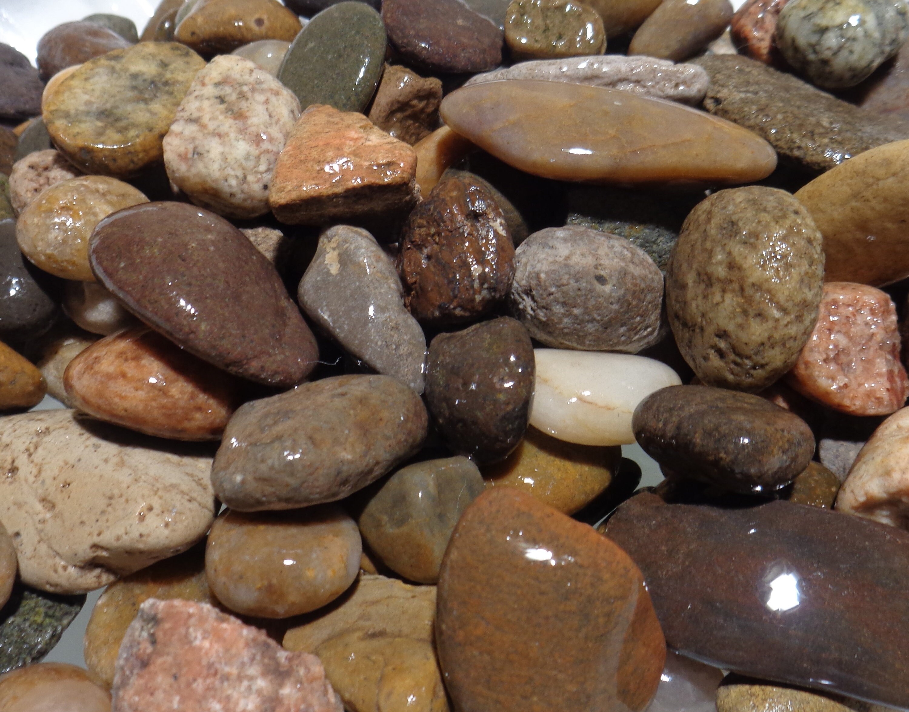 10 Lb Large Gravel Aquarium Decor Aquascape Fish Tank Etsy