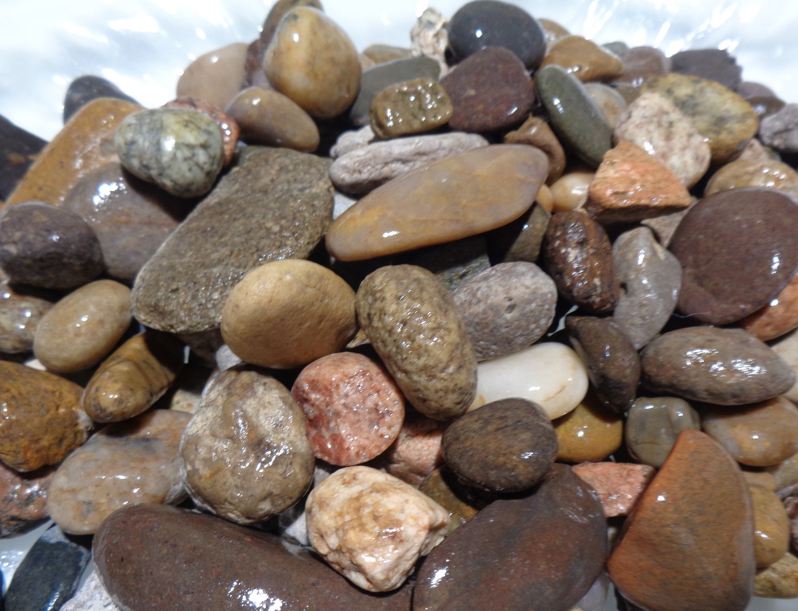fish tank gravel fish tank gravel