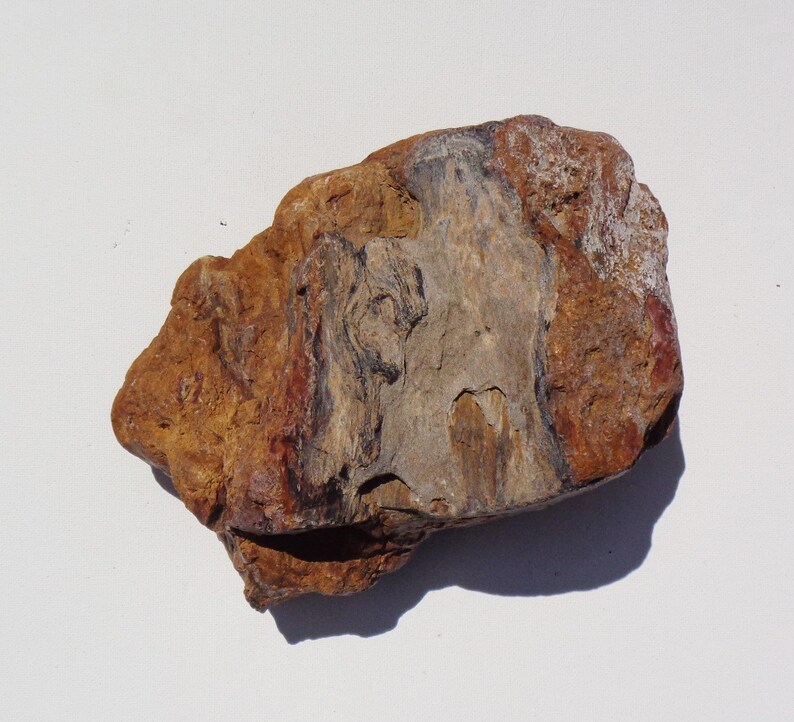 Petrified Wood Aquarium Decor Fish Tank Aquascape Shrimp Etsy