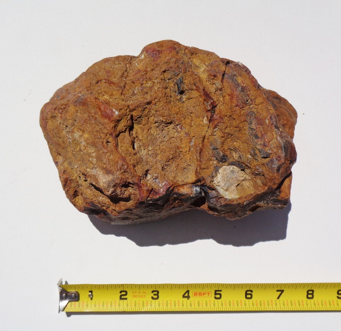 Petrified Wood Aquarium Decor Fish Tank Aquascape Shrimp Etsy