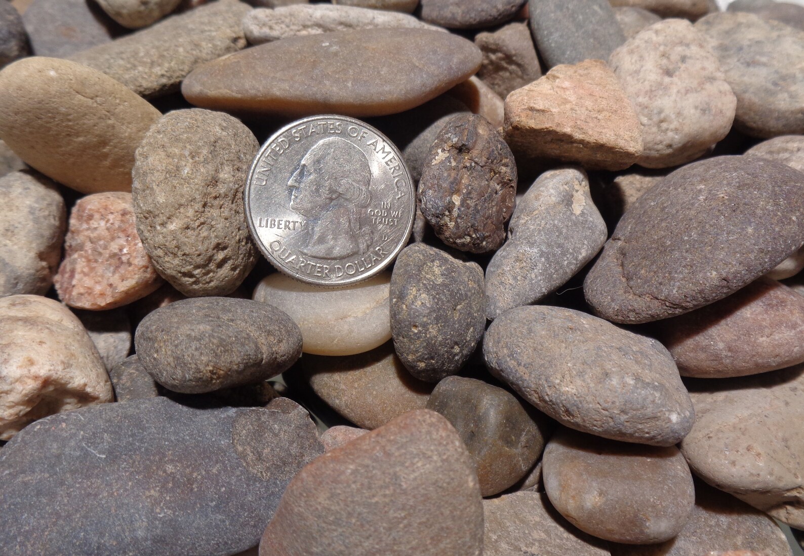 20 Lb Large Gravel, Aquarium Decor, Aquascape, Fish Tank, Planted Tank