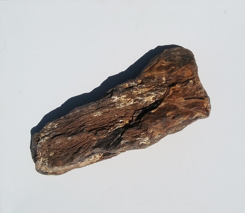 Petrified Wood Aquarium Decor Fish Tank Aquascape Shrimp Etsy