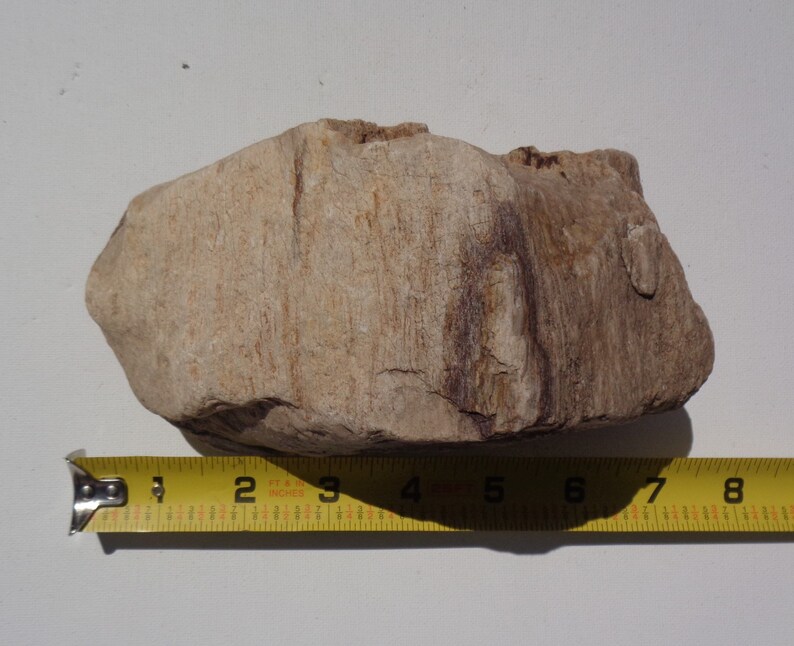 Petrified Wood Aquarium Decor Fish Tank Aquascape Shrimp Etsy