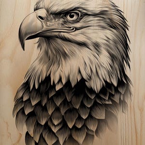 May include: A detailed monochrome illustration of an eagle's head and upper body. The artwork uses intricate line work to depict the bird's sharp beak, intense gaze, and feathered details. The background is a light-coloured wood grain.