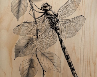 Plantilla de arte en madera con diseño detallado de grabado láser botánico de libélula en una rama.