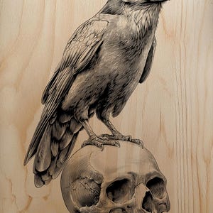 May include: Detailed black and white illustration of a raven perched atop a human skull. The artwork is rendered in a detailed, cross-hatch style, set against a light wood grain background. The raven's feathers and the skull's features are meticulously depicted.