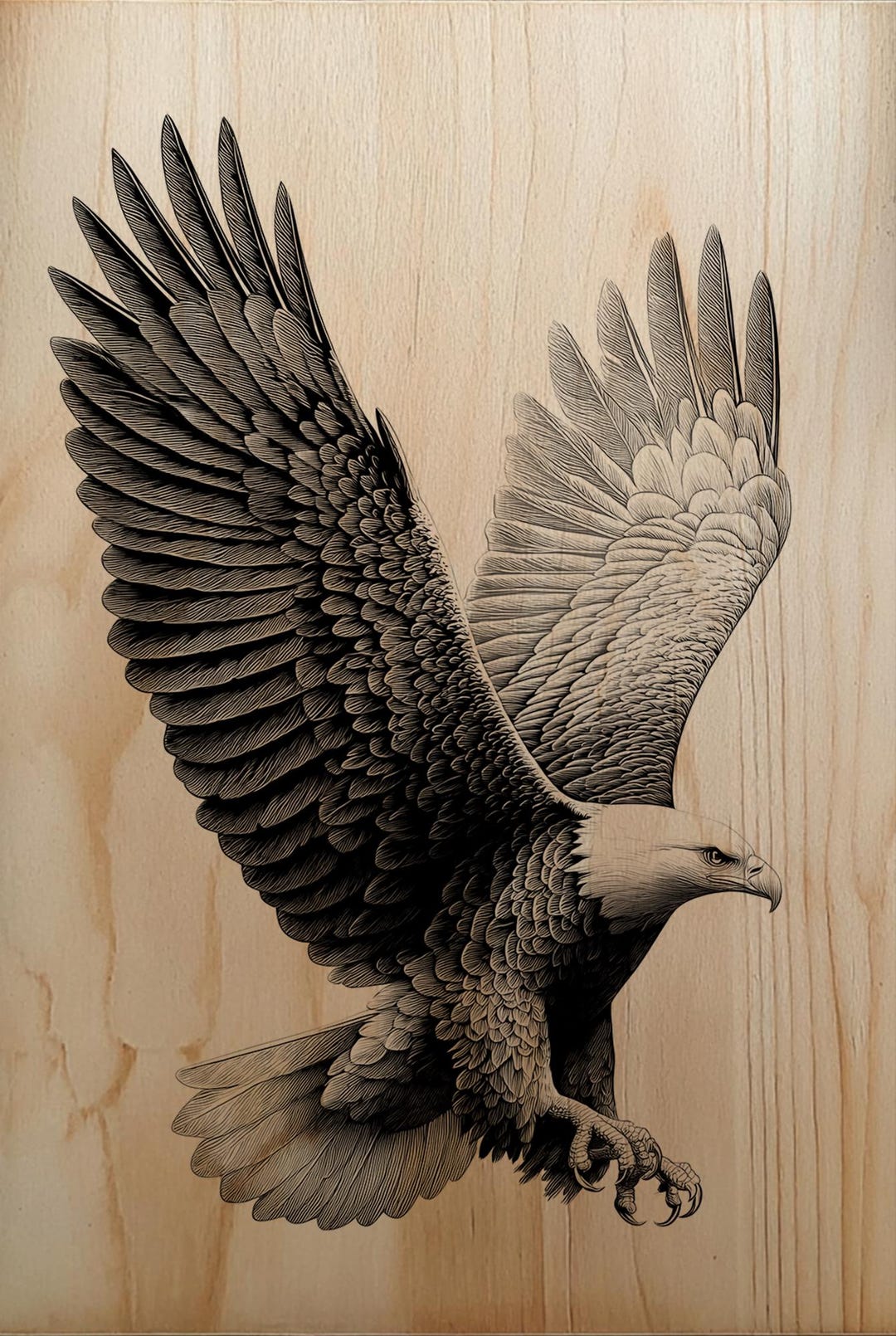 Bald Eagle Engraving PNG | Detailed Wingspan Laser File | Majestic ...