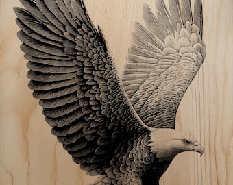 Bald Eagle Engraving PNG | Detailed Wingspan Laser File | Majestic Raptor Wood Burn Art | High-Res Glowforge Raster