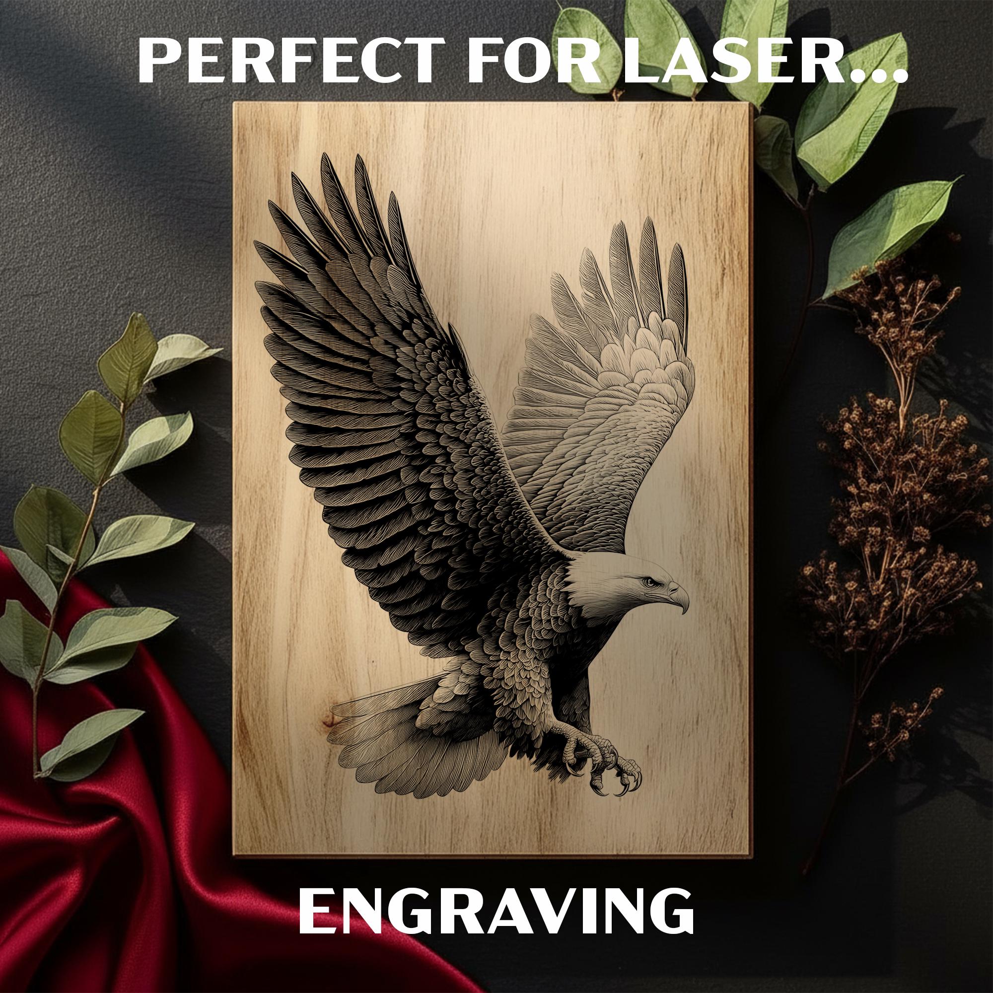 Bald Eagle Engraving PNG | Detailed Wingspan Laser File | Majestic ...