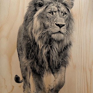 May include: A detailed black and white woodcut print of a lion walking forward. The lion has a full mane and is depicted with intricate detail, set against a light wood grain background. The artwork captures the lion's powerful presence.