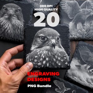 May include: A digital collection of 20 high-quality 300 DPI PNG engraving designs featuring detailed black and white illustrations of hawks and falcons in various poses, including close-up portraits and birds in flight, presented on slate coasters.