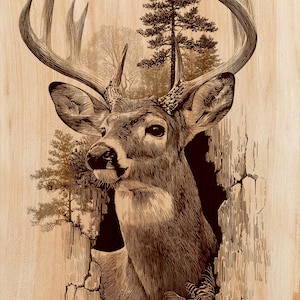May include: A detailed wood-burned art piece featuring a deer with large antlers emerging from a textured, cracked surface. The artwork is in shades of brown and depicts a forest scene with trees in the background.