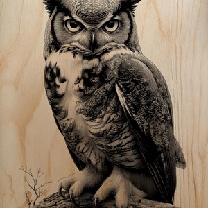 May include: Detailed black and white illustration of a Great Horned Owl perched on a branch. The owl has a stern expression, with detailed feather patterns and sharp talons. The background is a light wood grain.
