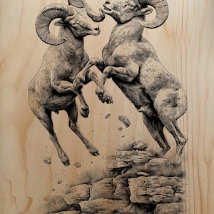 May include: A detailed black and white illustration of two bighorn sheep clashing horns. The sheep are depicted mid-air, above a rocky outcrop, with a light wood grain background. The artwork captures the intensity of the animals' interaction.