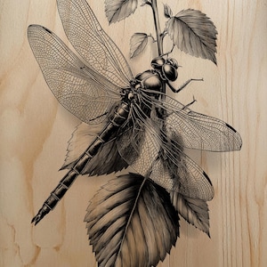 May include: Detailed black and white illustration of a dragonfly perched on a leafy branch. The dragonfly's wings are intricately detailed, and the leaves have a textured appearance. The artwork is set against a light wood grain background.