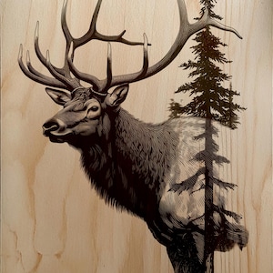 May include: A detailed woodcut-style image of a majestic elk with large antlers, set against a backdrop of a pine tree. The artwork is rendered in shades of brown and black, creating a rustic and natural aesthetic. The elk is the focal point.