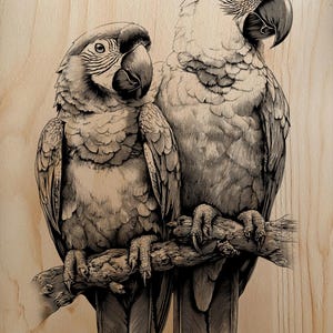 May include: A detailed black and white illustration of two parrots perched on a branch. The artwork is rendered in a cross-hatching style, with intricate feather and beak details. The background is a light wood grain.