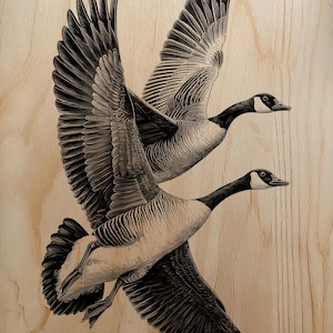 May include: A detailed woodcut illustration of two Canada geese in flight. The geese are depicted with outstretched wings, showcasing their black and white plumage against a light wood grain background. The artwork captures the birds' dynamic movement.