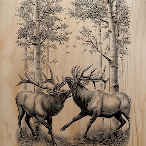 May include: A detailed woodcut-style illustration of two elk in a forest setting. The elk are depicted with large antlers, facing each other. The background features tall trees and foliage, all rendered in black and white.