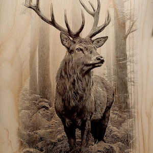 May include: A detailed wood-burned image of a stag in a forest setting. The stag has large antlers and is surrounded by trees and ferns. The artwork is rendered in shades of brown and black, creating a rustic aesthetic.