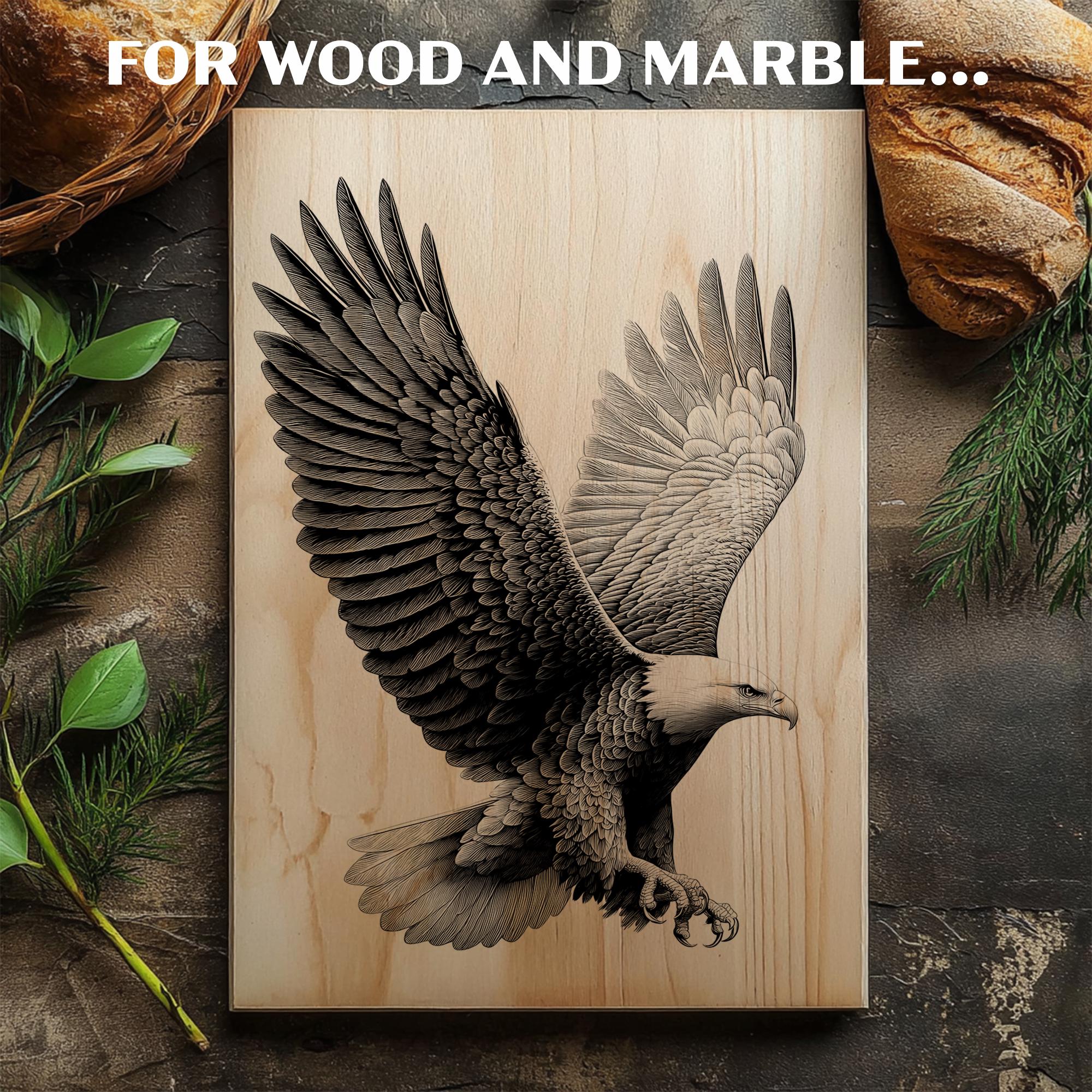 Bald Eagle Engraving PNG | Detailed Wingspan Laser File | Majestic ...