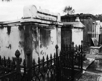the strange south perfume