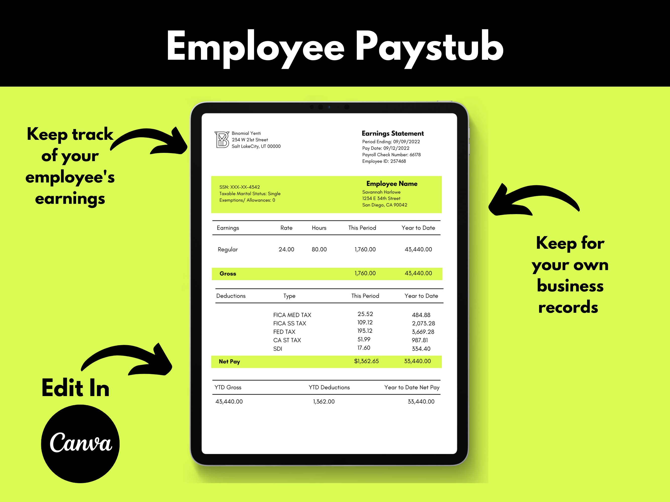 employee-pay-stub-pay-stub-template-editable-pay-stub-payroll-check