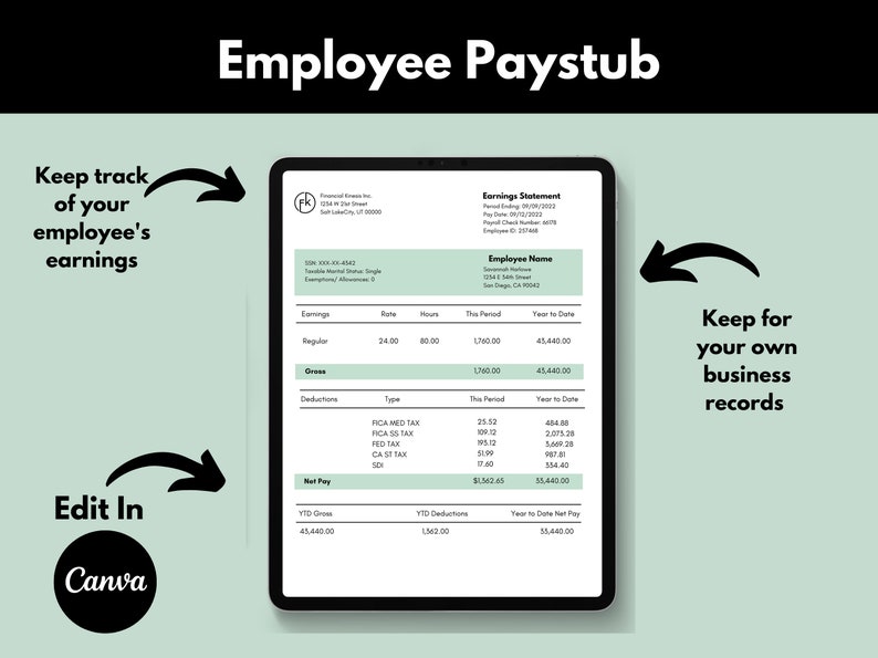 Employee Pay Stub, Pay Stub Template, Editable Pay Stub, Payroll Check