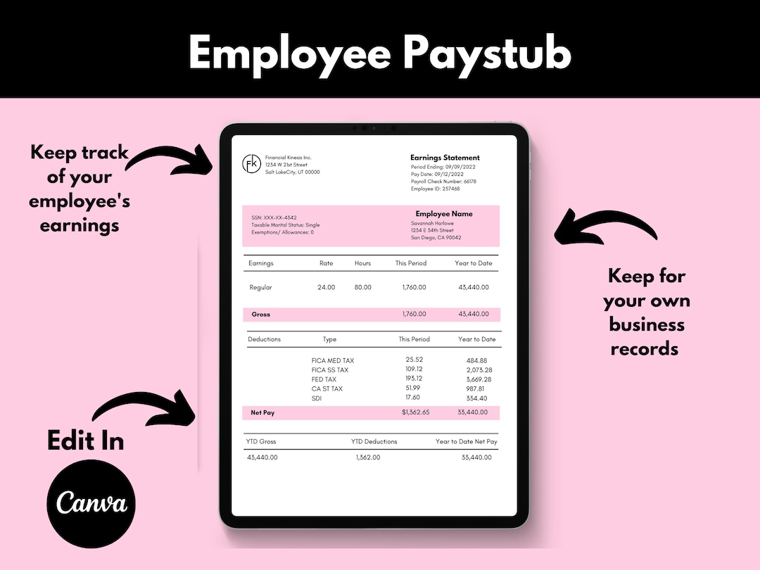Employee Pay Stub, Pay Stub Template, Editable Pay Stub, Payroll Check