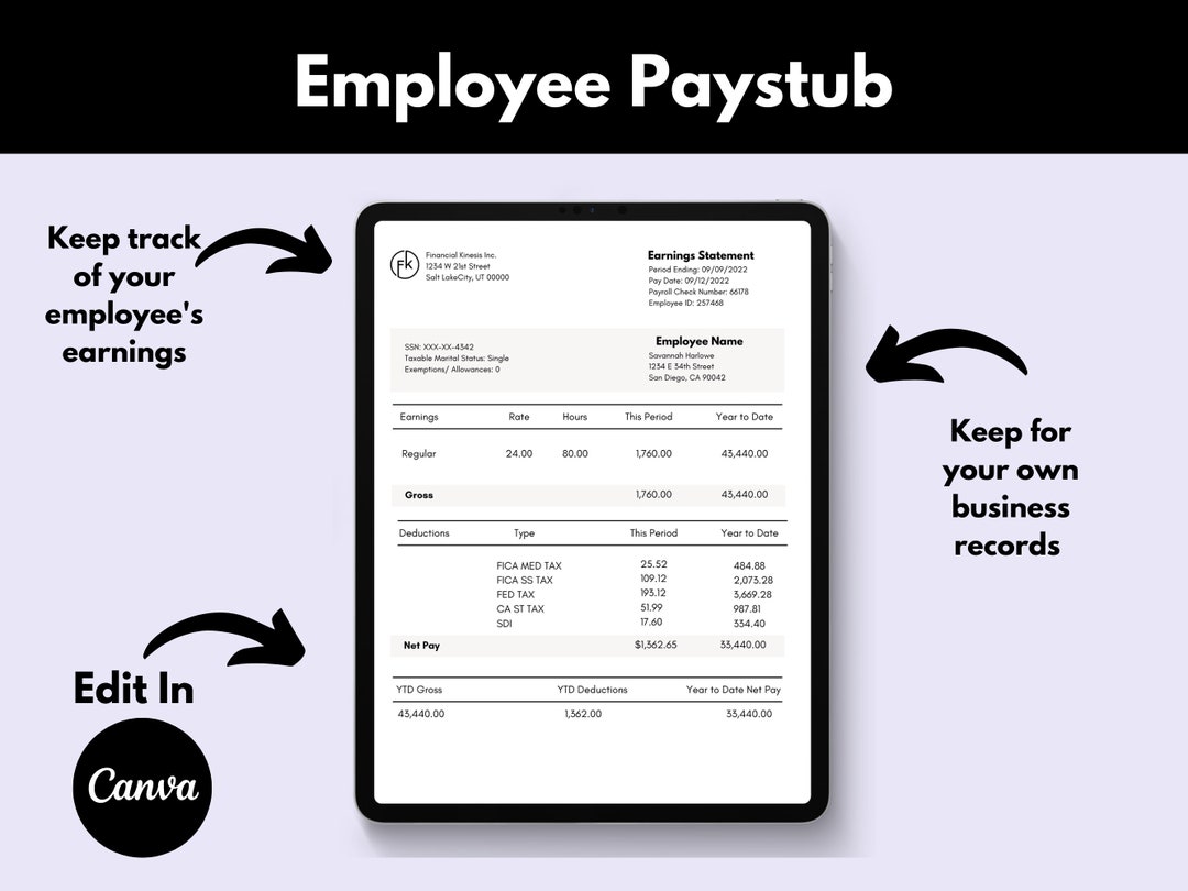 Employee Pay Stub, Pay Stub Template, Editable Pay Stub, Payroll Check