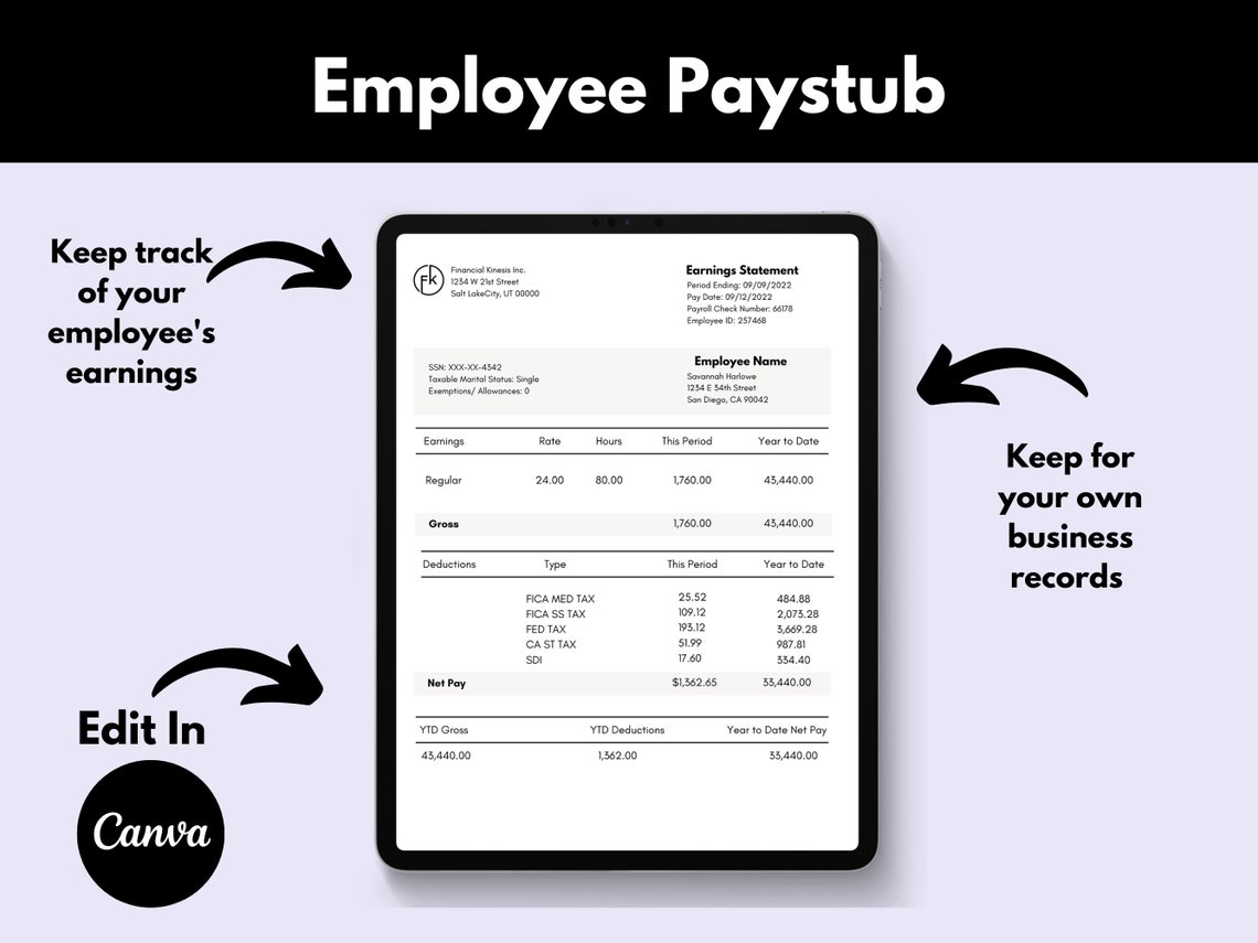 Employee Pay Stub, Pay Stub Template, Editable Pay Stub, Payroll Check Template, Earnings