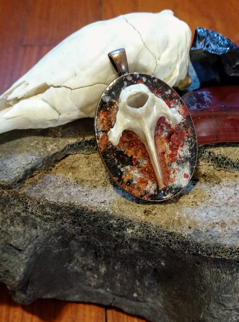 Earthy Armadillo Vertebra Pendant