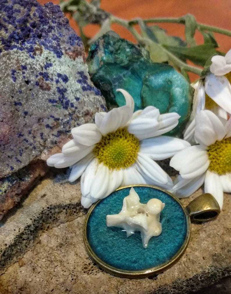 Turquoise Python Vertebra Pendant