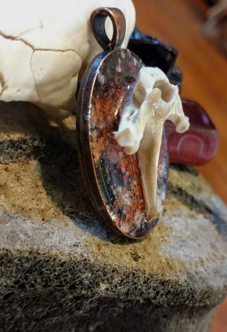Earthy Armadillo Vertebra Pendant