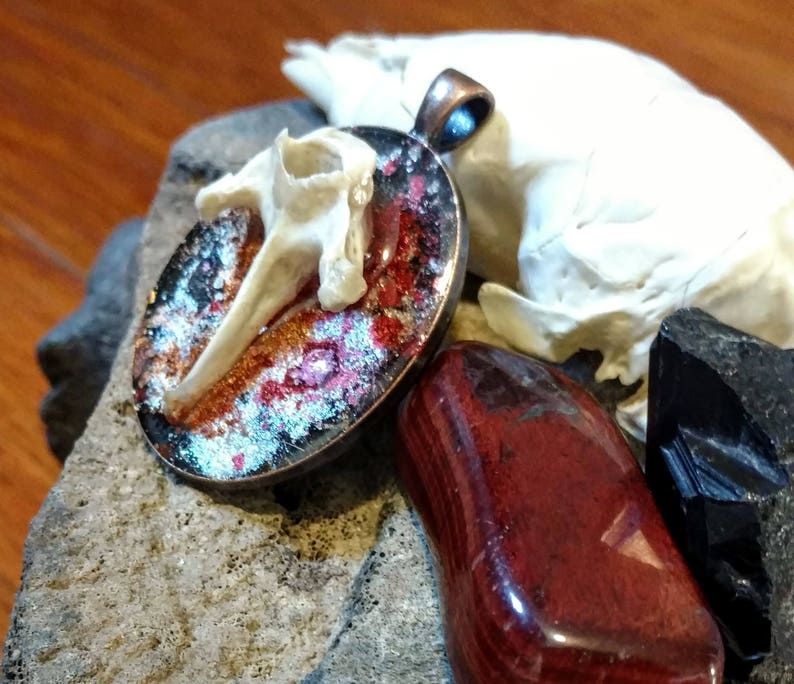 Earthy Armadillo Vertebra Pendant