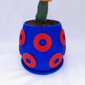 May include: A small orange cactus with white spines is planted in a blue ceramic pot with red circles.