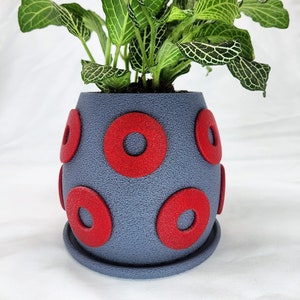 May include: A gray ceramic planter with red circles, featuring a green plant with patterned leaves.