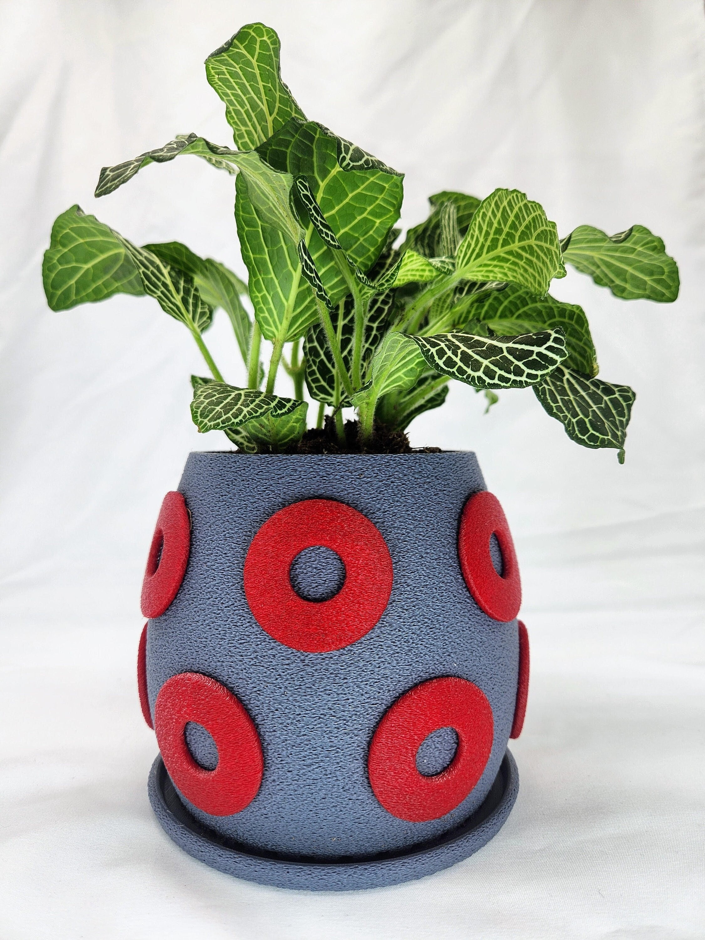 cache pot planter Madeleine Cachepot  Hummingbird Home & Co